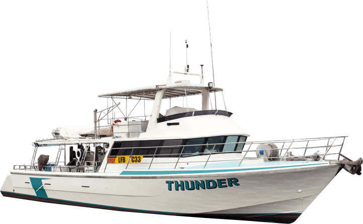 Marine Charters - Thunder